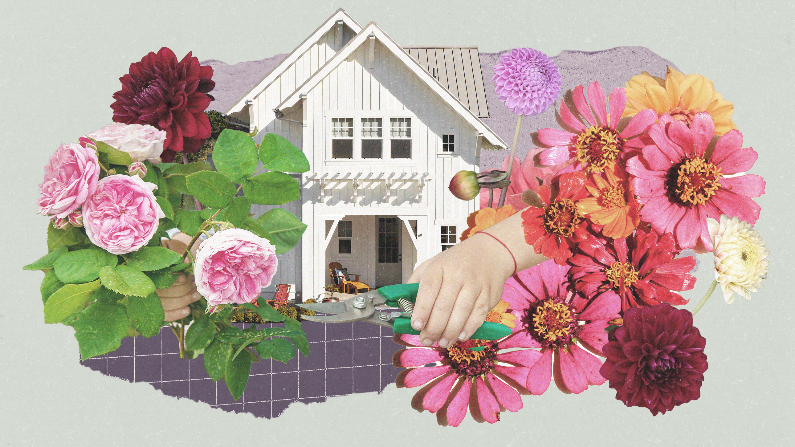 21 گل تابستانی برای یک باغ خانه رنگارنگ